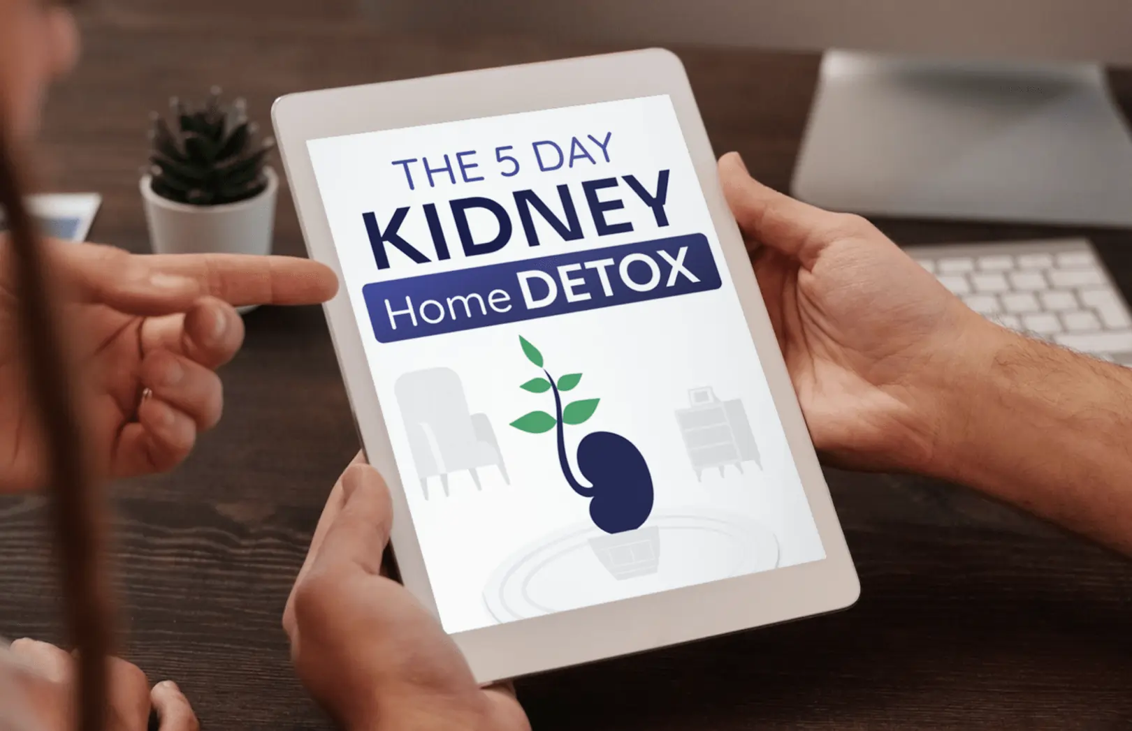 Digital cover for The 5 Day Kidney Home Detox guide