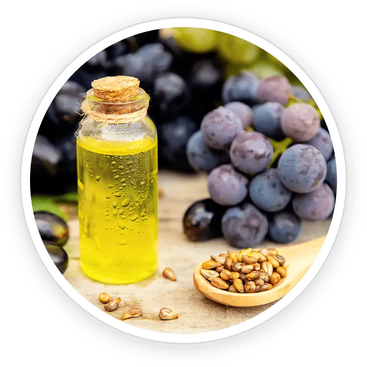 Essential minerals including Tricalcium Phosphate and Peppermint